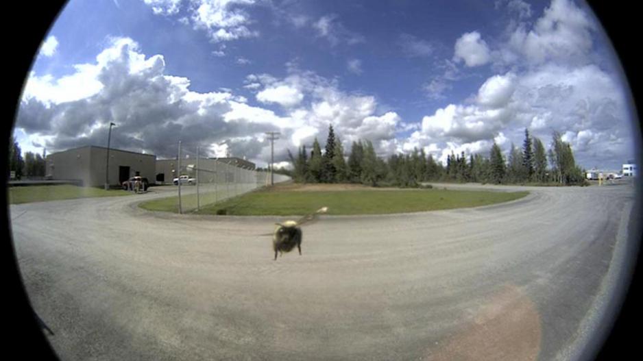 Image Quality MOBOTIX